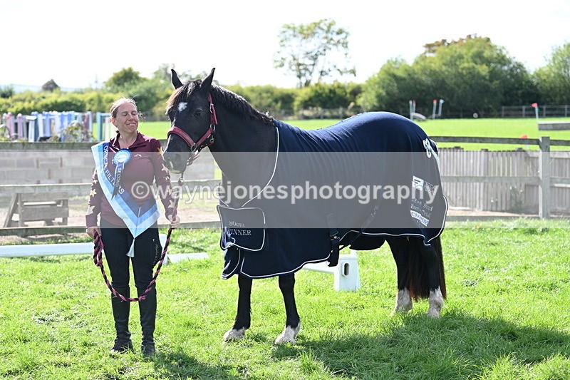 WJ7_1708 - 80cm Champs