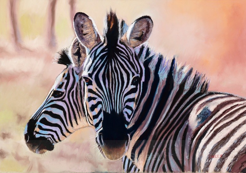 Zebras - Paintings