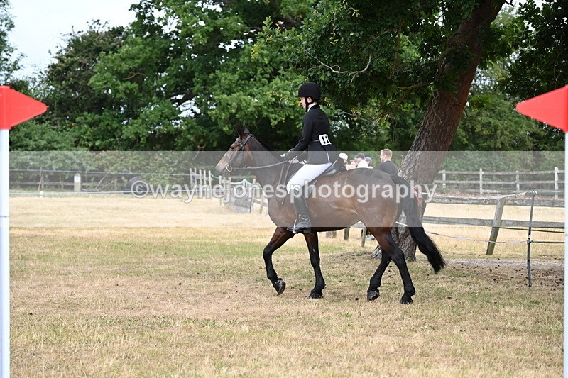 WJ6_3955 - Class 9 Tack & Turnout