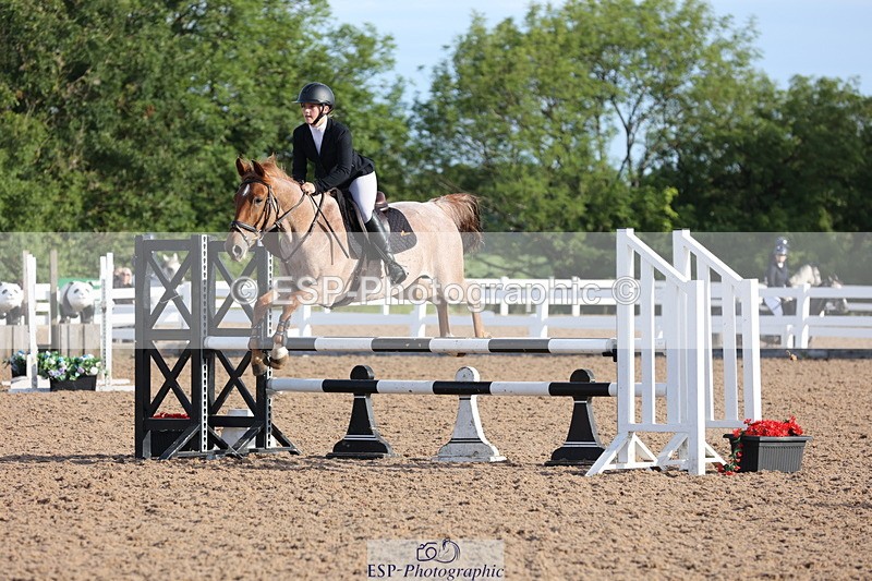 240629A-074000-02170 - Cls 16 British Novice and 80cm Open