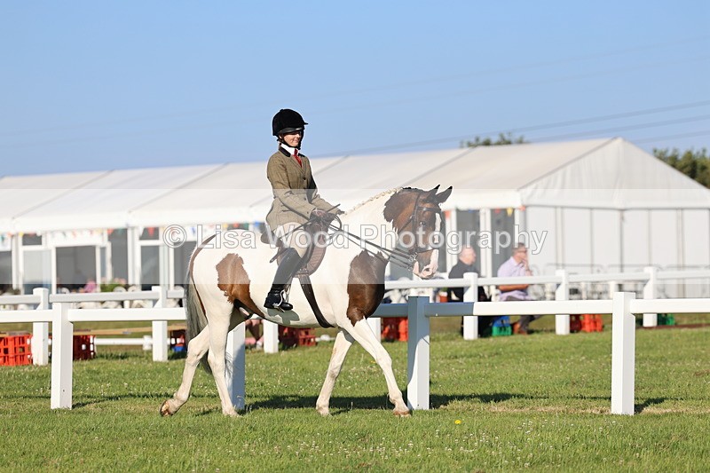 IMG_1185 - Class 27: Ridden Plaited Coloured Horse
