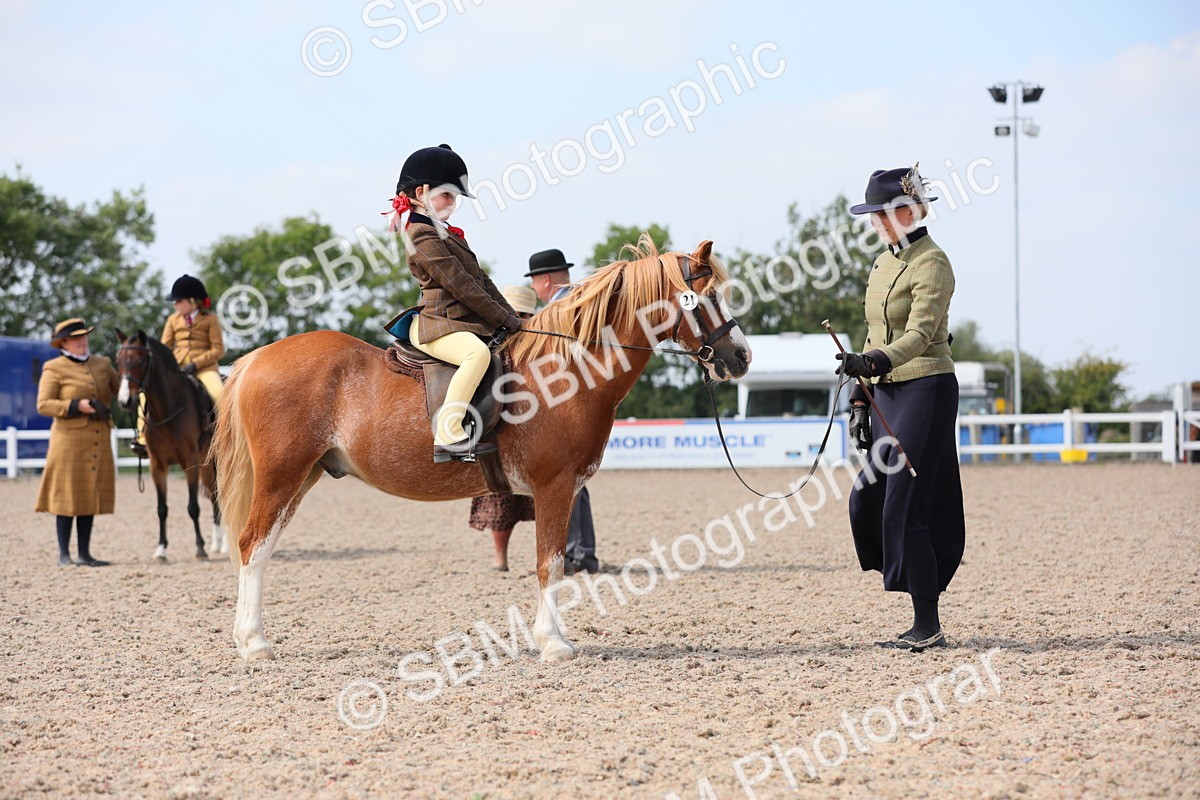 SBM_14063 - Class 309 Lead Rein Pony