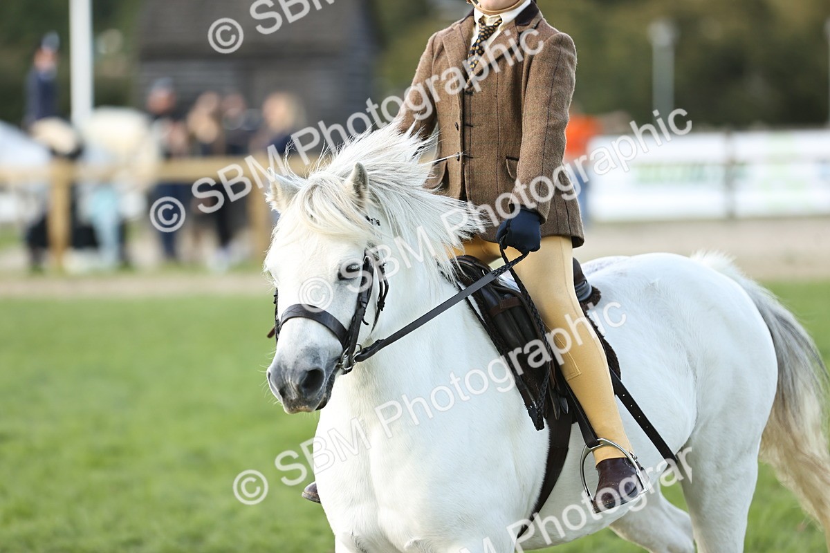 SBM_29474 - S7 - Novice & Newcomers Ridden Pony