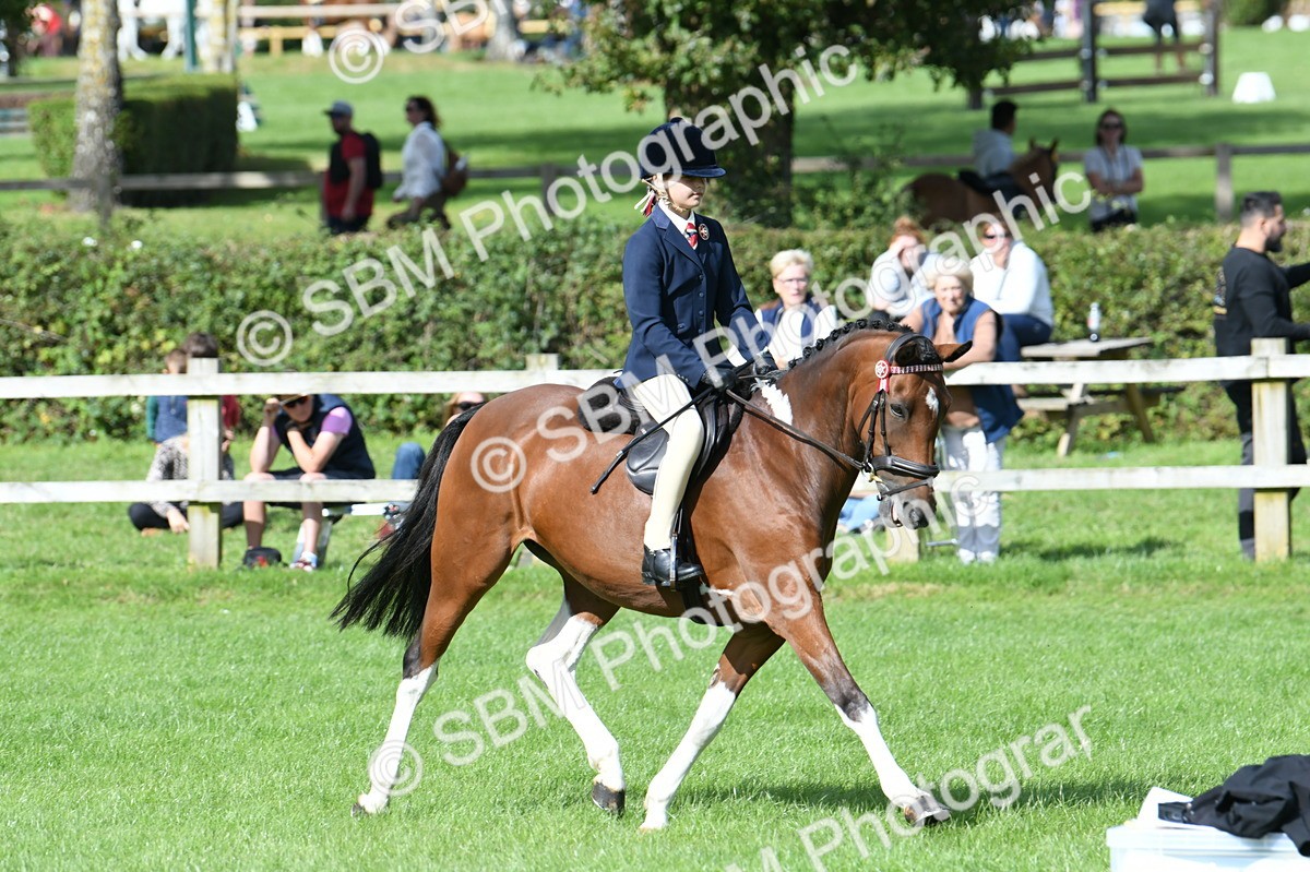 SBM_47143 - S12 - Family Horse & Pony