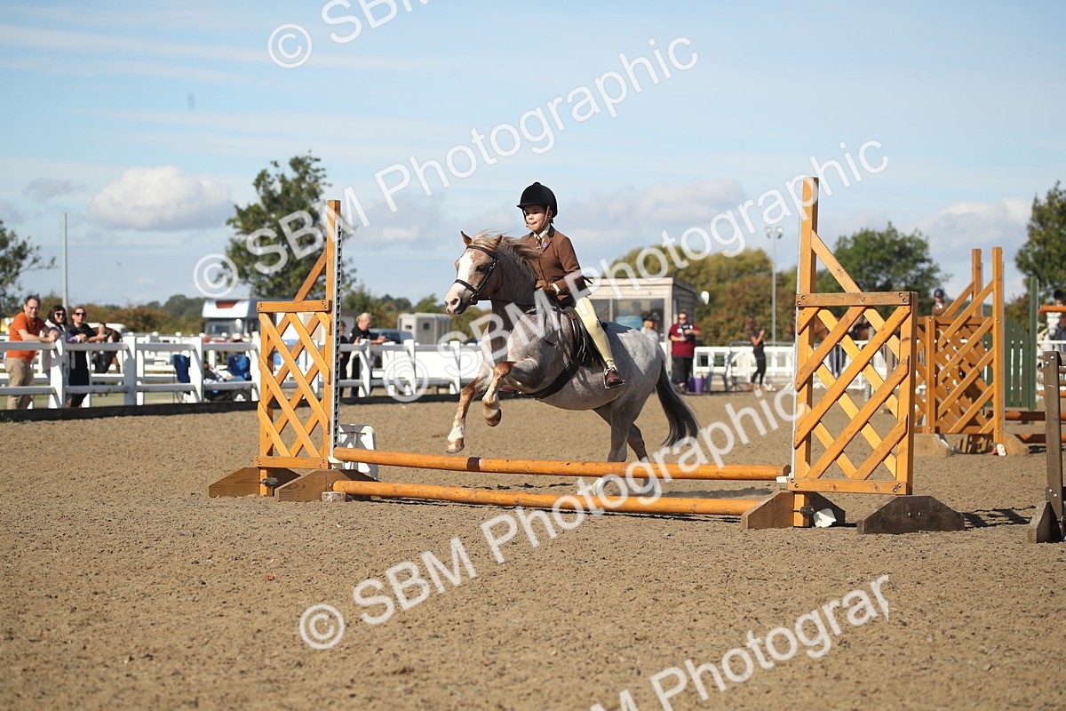 SBM_12707 - Class 504b - Junior Working Veteran - 40cm (20+)