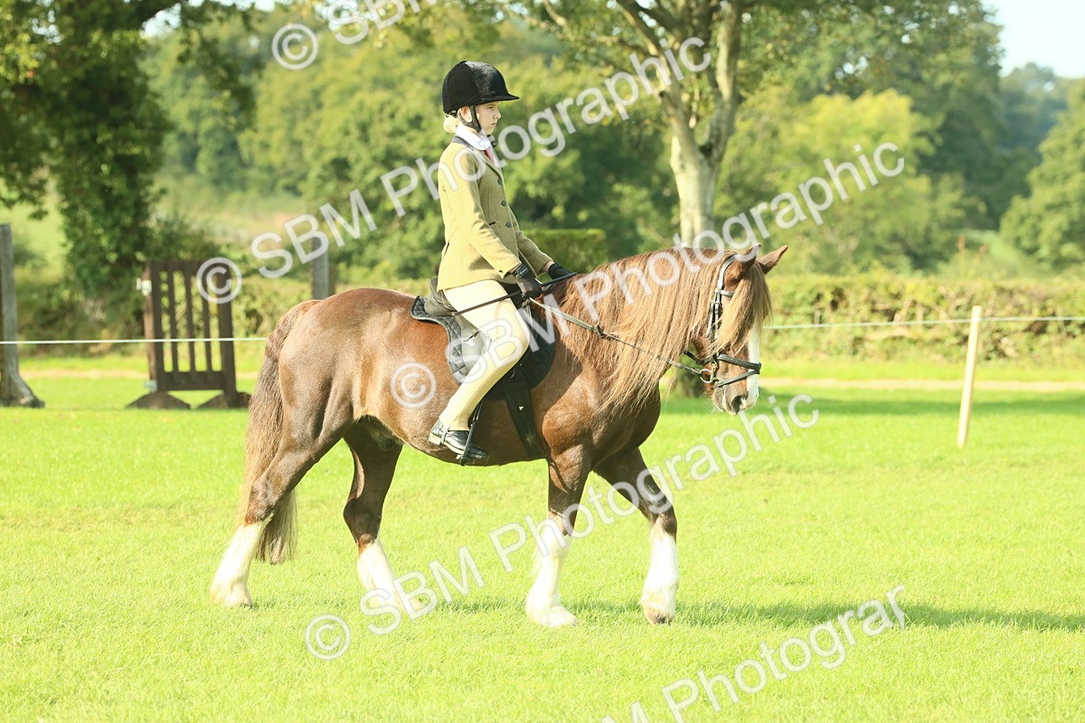 SBM_59312 - S38 - Starters Ridden Showing
