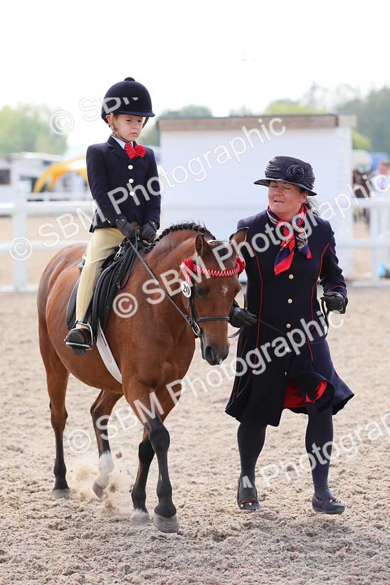 SBM_14054 - Class 309 Lead Rein Pony