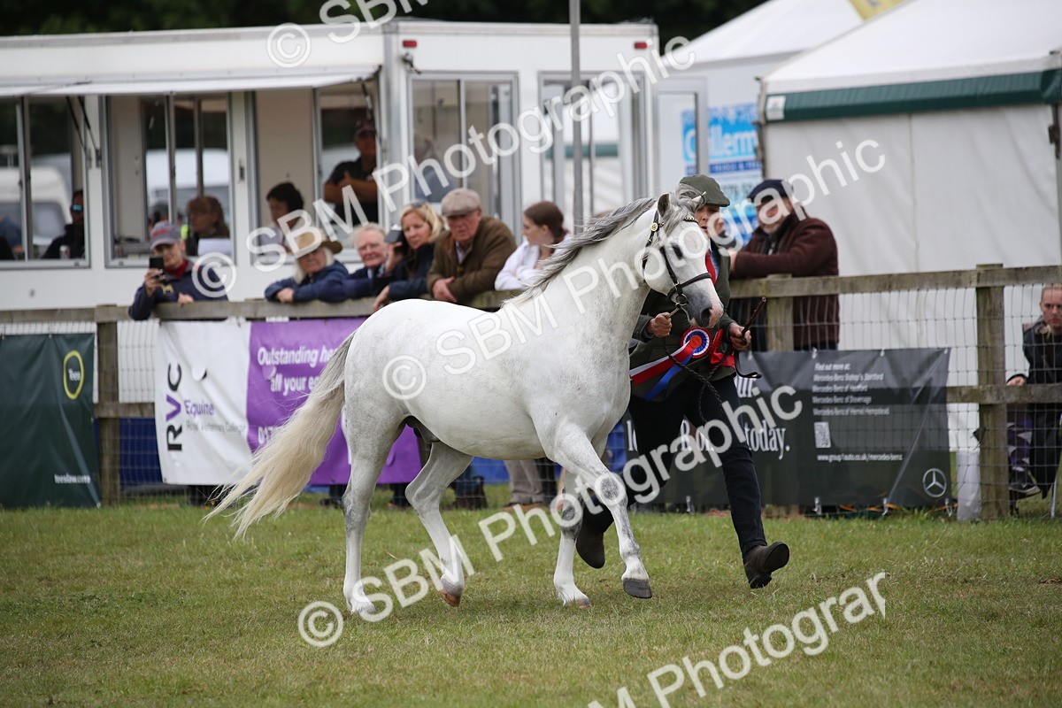 SBM_09798 - Ch 50 - Price Family Supreme In Hand