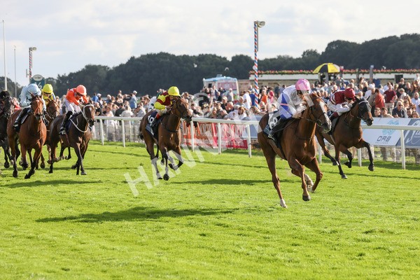 240823-Race 7-Nigiri-5494 - Race 7 5.20pm British EBF 40th Anniversary Fillies' Handicap