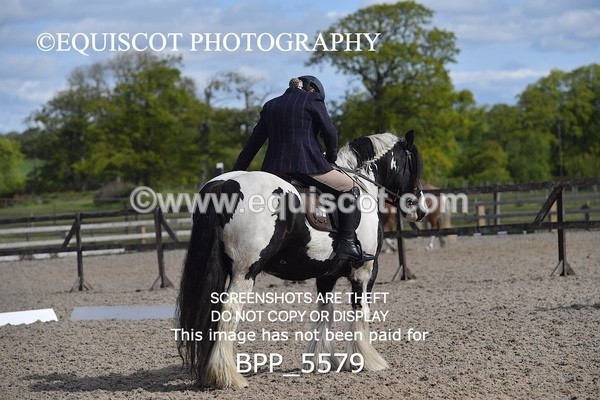 BPP_5579 - 4 L DENHOLM