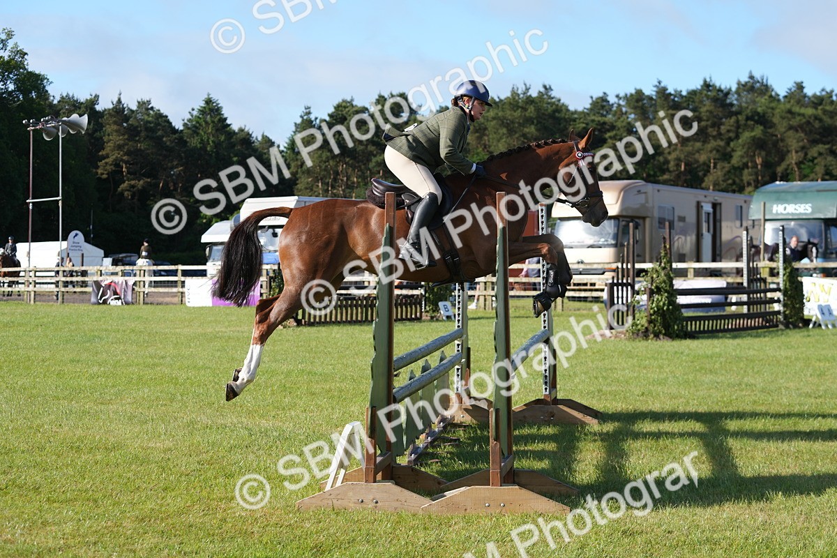SBM_10514 - Class 97-98 - LIHS BSHA Rising Star Working Show Horse Hunter