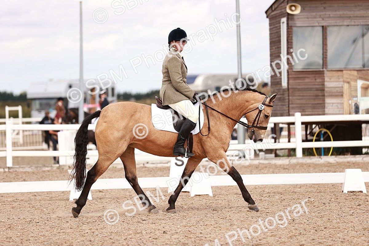 SBM_06337 - Class 37 - Novice 5
