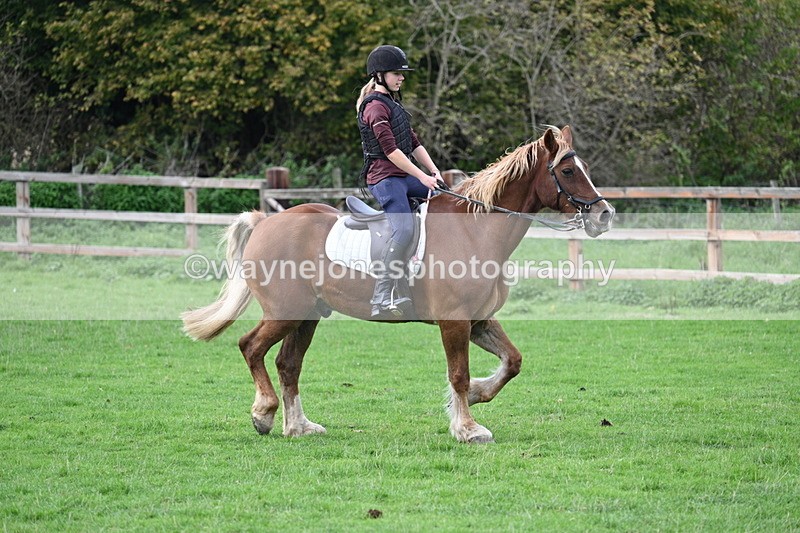 WJ7_9581 - Time 13:13 to 13:55