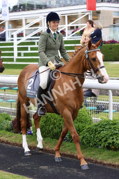 yr22052022r8e-53 - ROR - Parade Ring York