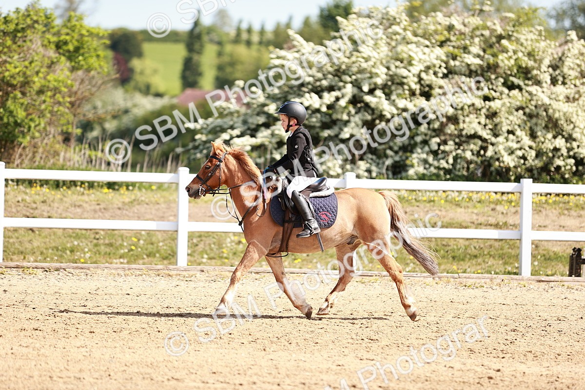 SBM_006891 - Class 2 - 50cm