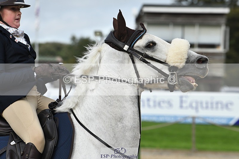 231001-150654-03109 - Cls 3 90cm