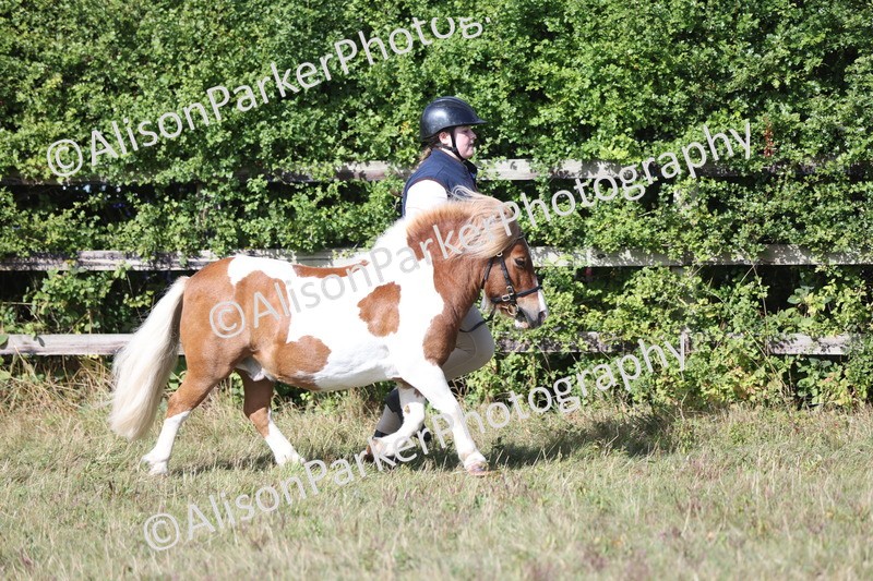 20250831-1614 - Class 22 - Mountain and Moorland Inhand