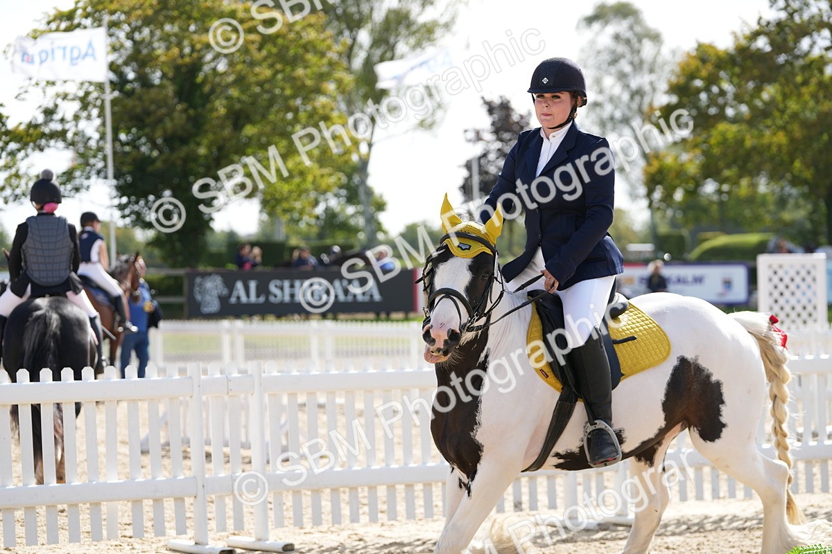SBM_16917 - J58 - Clear Round 50cm