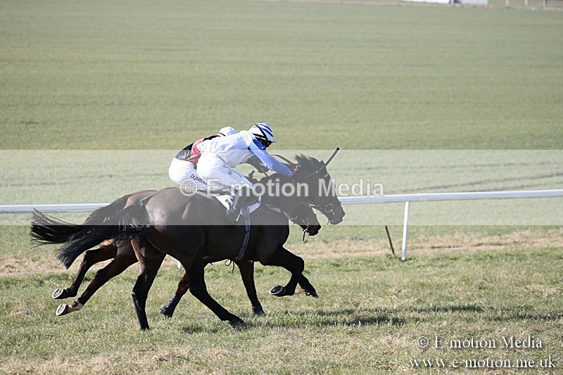 PtP 240218 83 - Vine & Craven Hunt Point-to-Point Barbury racecourse 24/02/18