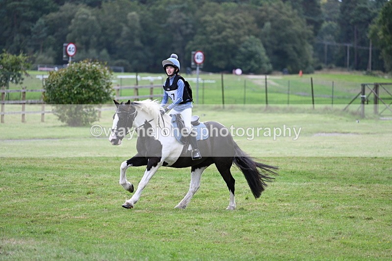 WJ7_8974 - 60cm Time 12:31 to 12:50