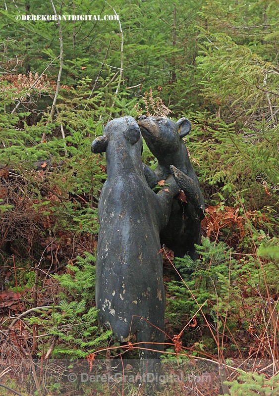 Animaland Sussex New Brunswick Canada - Animaland