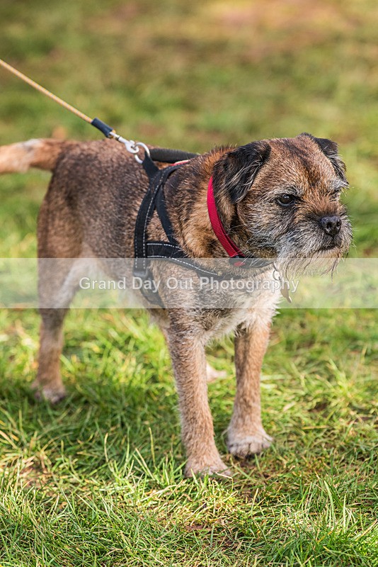 Jarrett-329 - Jarretts Jaunt Handicap Fell Race Saturday 3rd February 2024