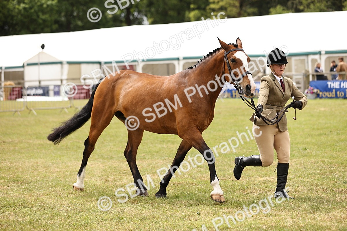 SBM_14607 - Class 88-89 - LIHS BSHA Rising Star of Ridden Hunter Type