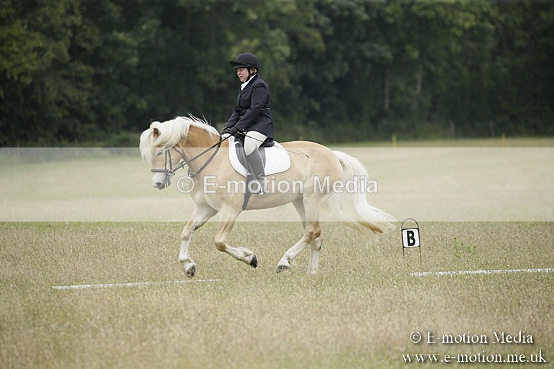 B230619-0606 - Bourne Valley Riding Club Summer Show 23/06/19
