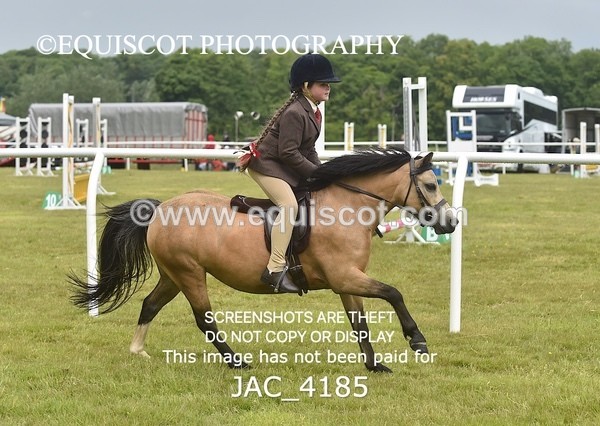 JAC_4185 - 30CM WORKING HUNTER