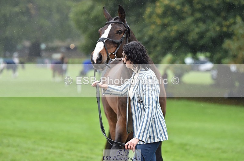 231018-121038-00120 - 013-CRIME.SCENE-Alexandra.Heard-TrotUp