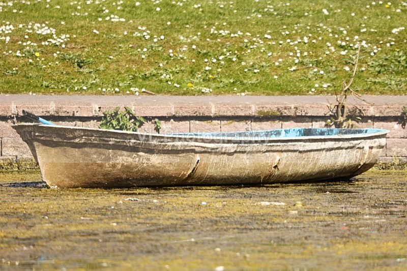 Boat - Other