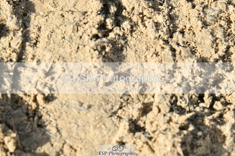 251004A-102306-00430 - Classes 1-2-3 40cm