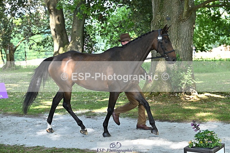 250521A-155124-00803 - B-373-Ben.Lee.Liles-FINCH.FANCY