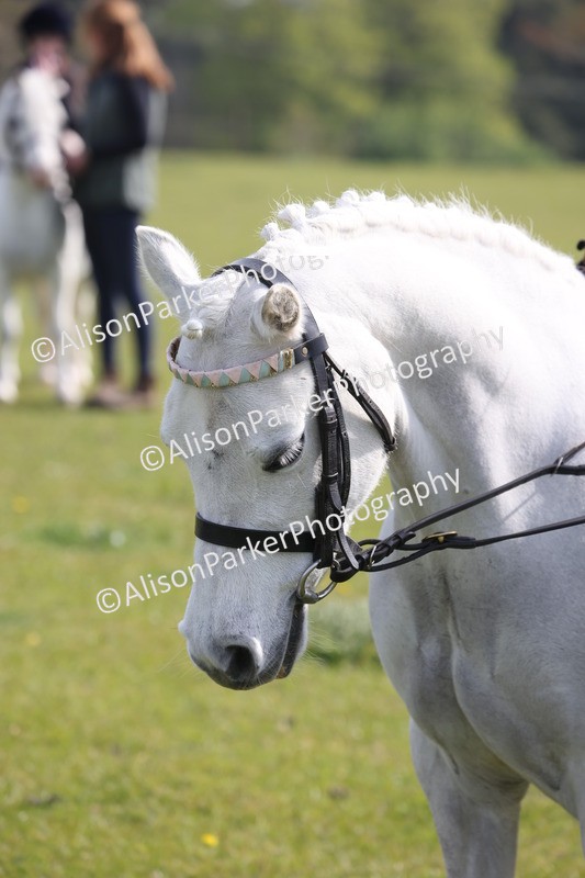 20260426-0519 - Class 30 - Tiny Tots Lead Rein