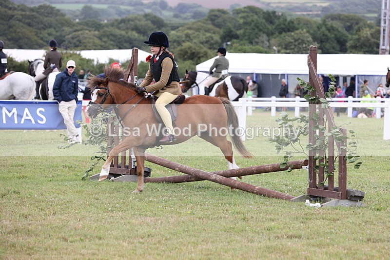 JPP_1748 - Class 18: Tiny Tots Working Hunter Pony