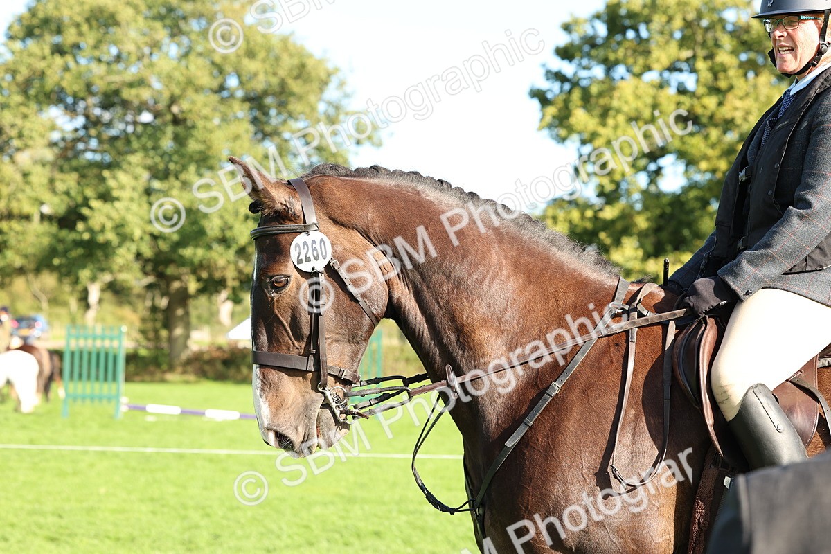 SBM_50144 - S34 - Novice & Newcomers Working Hunter