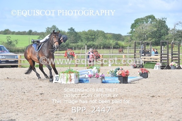 BPP_2447 - DERBY CLASS 7 - 80CM