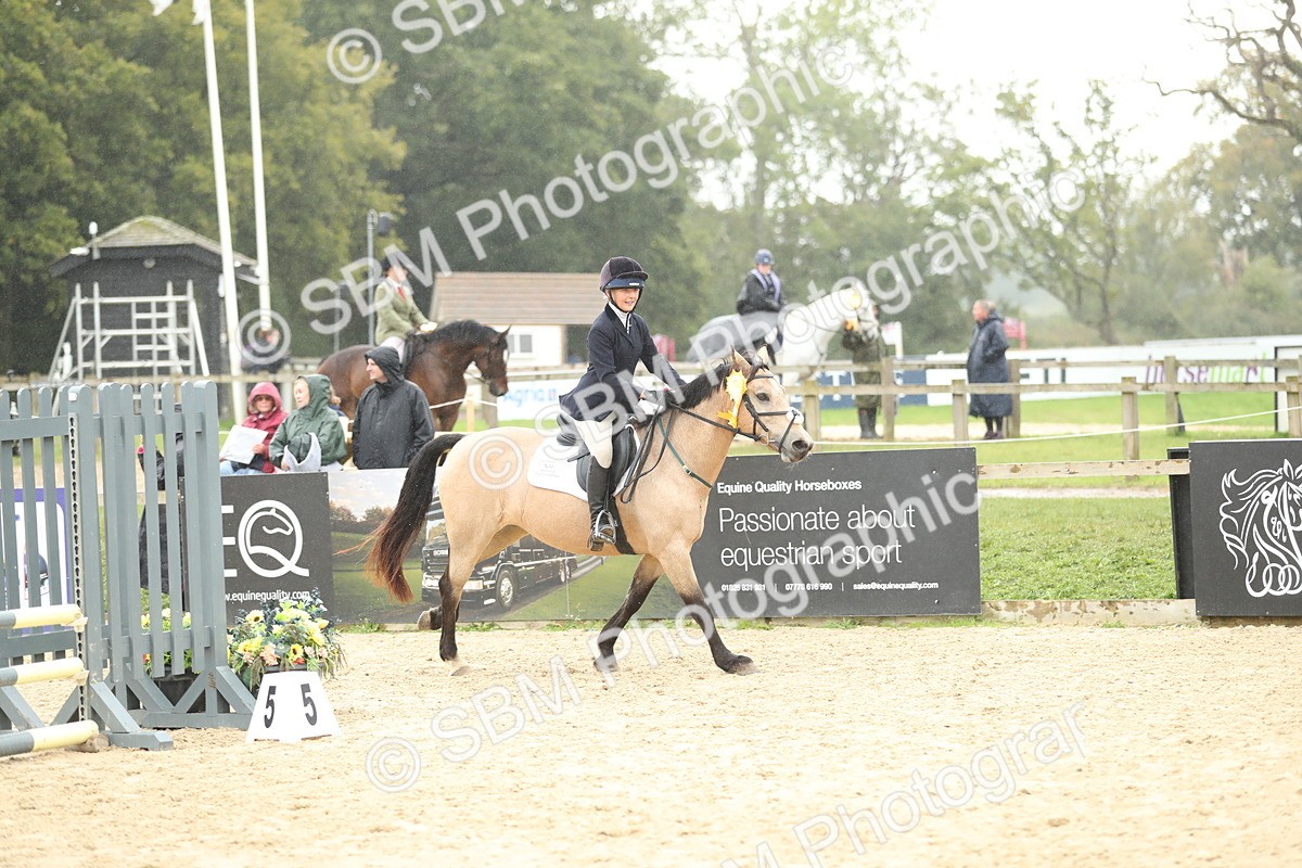 SBM_70534 - J15 - Junior Pony 70cm Championship