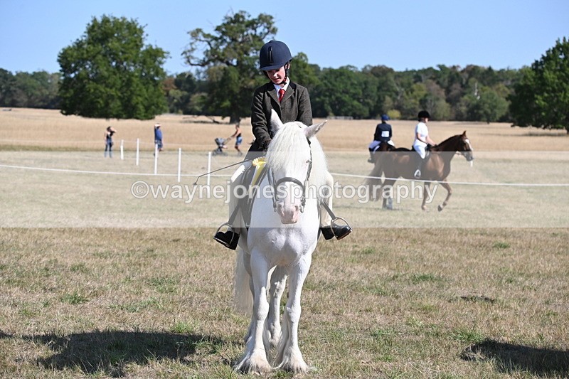 WJ6_7681 - Class 34 Judges Choice