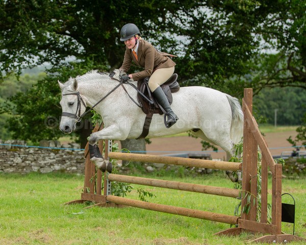 Dunblane show-582 - Dunblane and Doune Show Ring 1