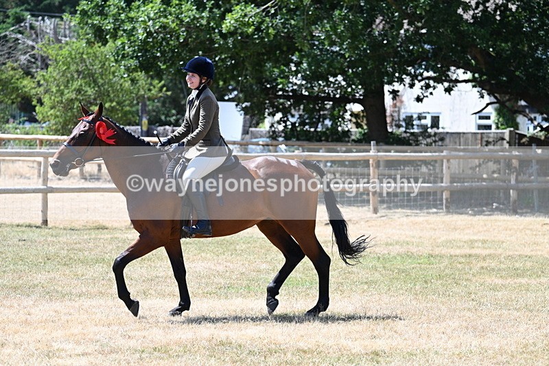 WJ7_3216 - Class 7 Riding Club Show Horse