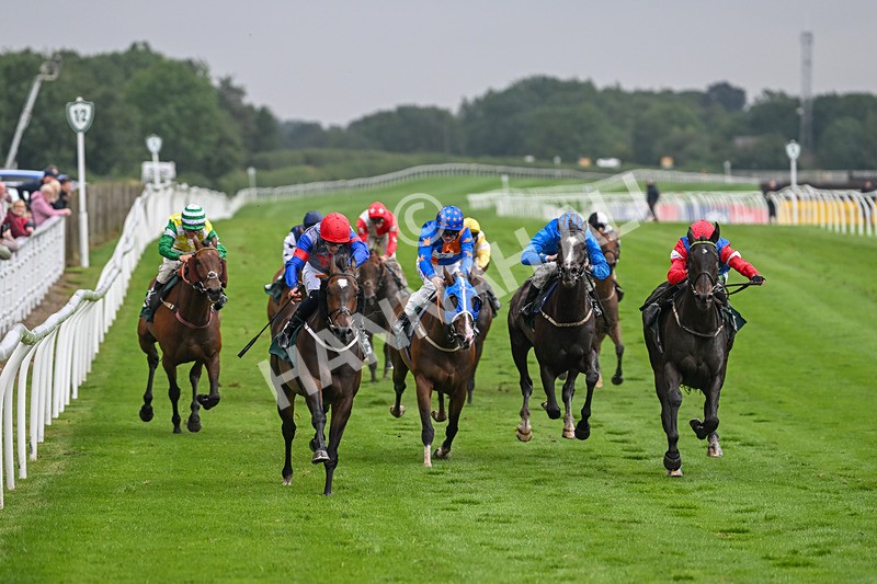 230725-Race 6-Quercus-0590 - Race 6