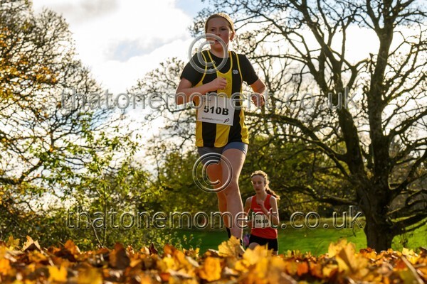 NatRel25-913768 - Young Female Set Two