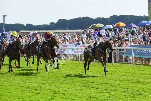 160623-Race 5-Harvanna-0588 - Race 5 4.10pm Juddmonte British EBF Fillies' Restricted Novice Stakes