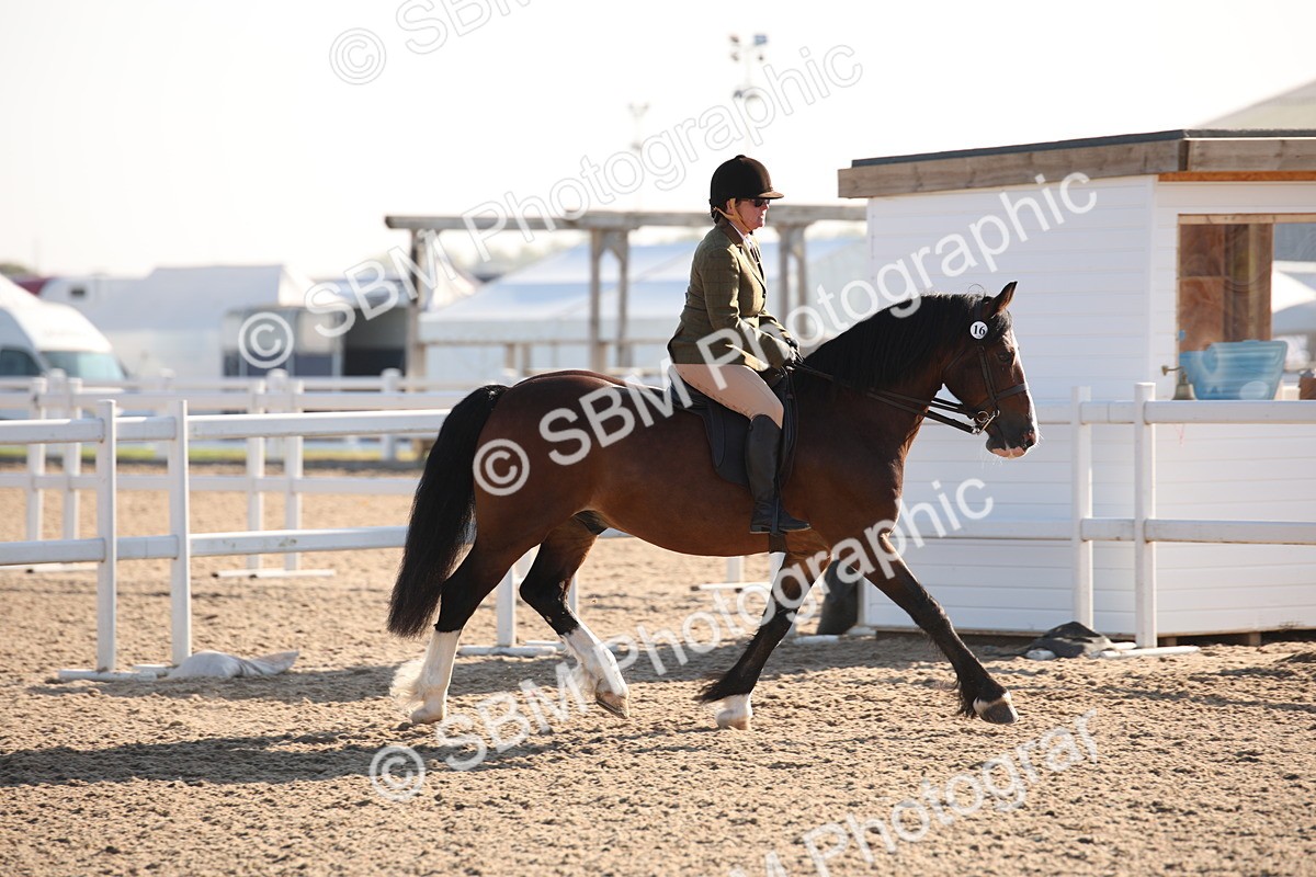 SBM_00622 - Class 14 Ridden M&M Wildcard