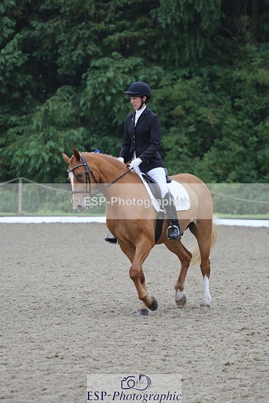 240720-125034-05155 - Cls 5 Novice BRONZE