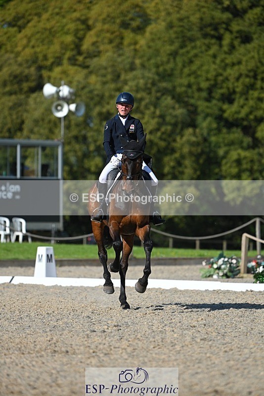 230526-172109-07579 - 262-TREAMBLE-Finn_Healy-WEDTrotUp+DR