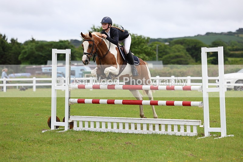 3E7A6714 - Class 10: Pony Newcomers/1m open