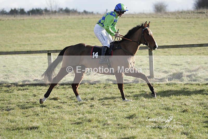 PtP 260223 1064 - South & West Wilts Point-to-Point Larkhill 26/02/23