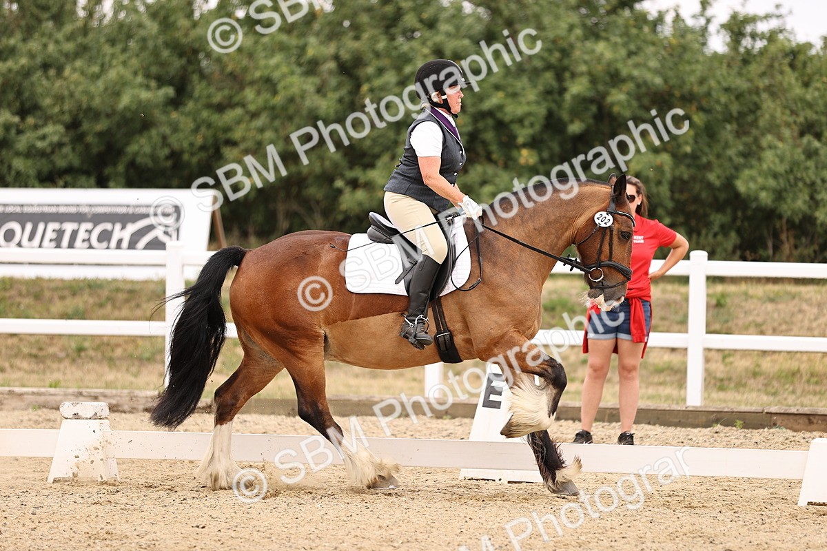 SBM_008676 - Elementary 5 - 12.48-14.08